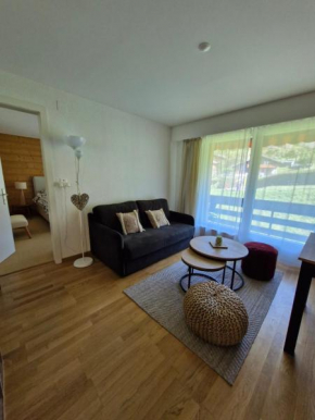 Appartement moderne et confortable à Villars